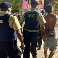 Na Corsou polis a detene 29 hende durante marchanan di Carnaval