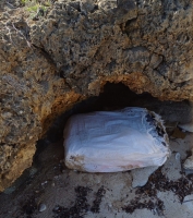 Polis a detene homber y confisca droga cu a yega tera na Aruba 