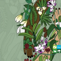 Directie Natuur en Milieu ta conmemora Dia Mundial di Bida di Bestia y Mata Salvahe 2026