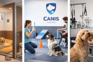 Centro canino ‘upscale “Canis” ta habri su porta na Aruba