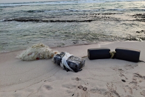 Boto y bultonan di droga a keda localisa den area di Colony