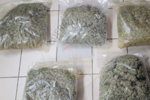 Polis  a dal baho mundo duro: 4 detencion y a desmantela un plantacion grandi di droga