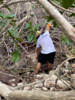 SETAR a participa na e Coastal Clean Up Event di AHATA en conexion cu Earth Day