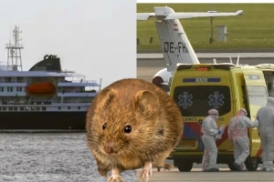 WHO: Hantavirus no ta Covid y riesgo di pandemia mundial ta abou
