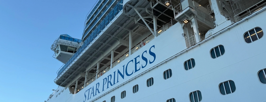 Crucero cu parada na Aruba a reporta mas di 110 caso di norovirus