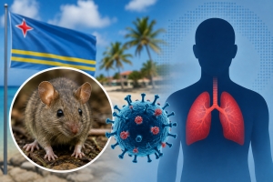 DVG: Hantavirus tin riesgo limita pa Aruba te na e momentonan aki  