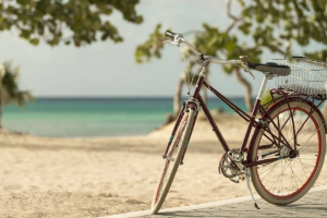 Rainbow Warriors ta pidi mas inversion den infrastructura pa bicicleta y e-bikes na Aruba