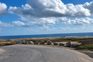 Presion legal di Aruba Birdlife Conservation a resulta den cierre di rutanan na costa norte