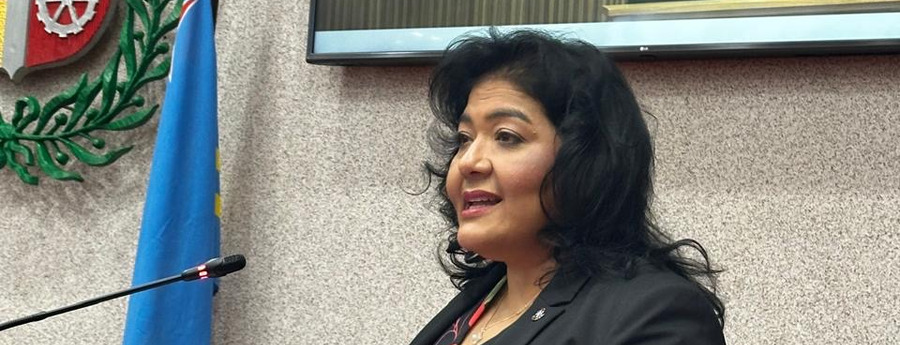 MEP Lawmaker: Insecurity Costs More Than Investing in Safety