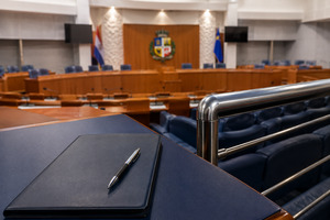 MEP dient formele klacht in over toegang tot persvak in Staten