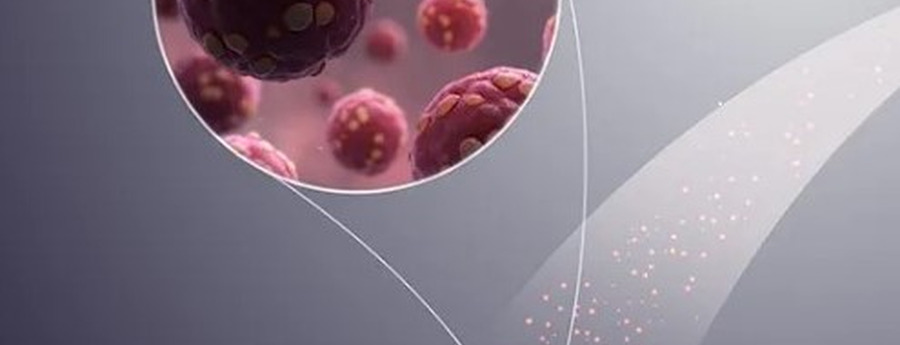 DVG: Hantavirus outbreak in Venezuela poses no direct threat to Aruba