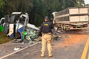 23 killed in head-on crash in Brazil between minibus and truck