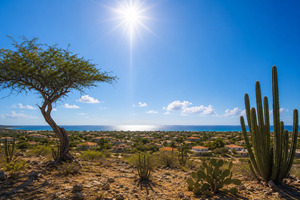 Solo ta para recht ariba Aruba awe merdia