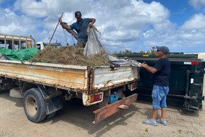 Cuida Aruba focuses on participation and lasting change