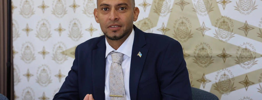 Kelly (AVP): Regla pa vacation rentals mester proteha vivienda