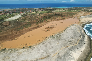 Aruba Conservation Foundation ta pidi pausa di construccion cerca di naturaleza sensitivo