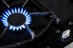 European gas price nearly triples since February
