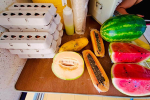 Noord market offers local produce and plants for Afl. 5