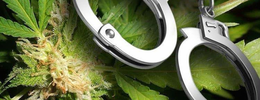 Polis ta detene homber di 22 aña y confisca marihuana y MDMA na Papaya