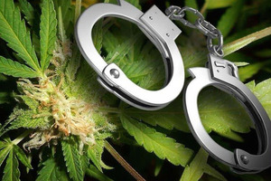 Polis ta detene homber di 22 aña y confisca marihuana y MDMA na Papaya