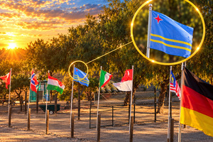 Bandera di Aruba ta bula cu orguyo na Dog Psychology Center di Cesar Millan